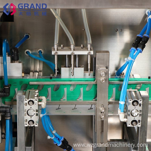 Ggs-240 P5 High Quality Filling Sealing Machine
